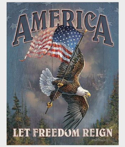 America Let Freedom Reign tin sign