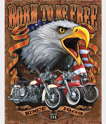 Pro America biker tin sign