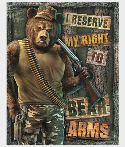 right to bear arms tin sign