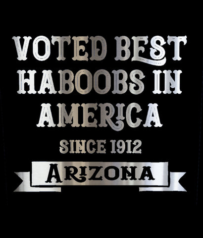 Best Haboobs in America Arizona coffee mug closeup