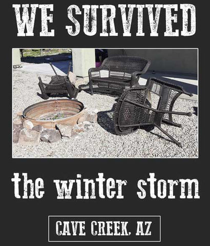 Arizona winter storm t-shirt funny souvenir