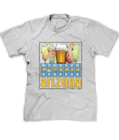 Arizona Souvenir t-shirt